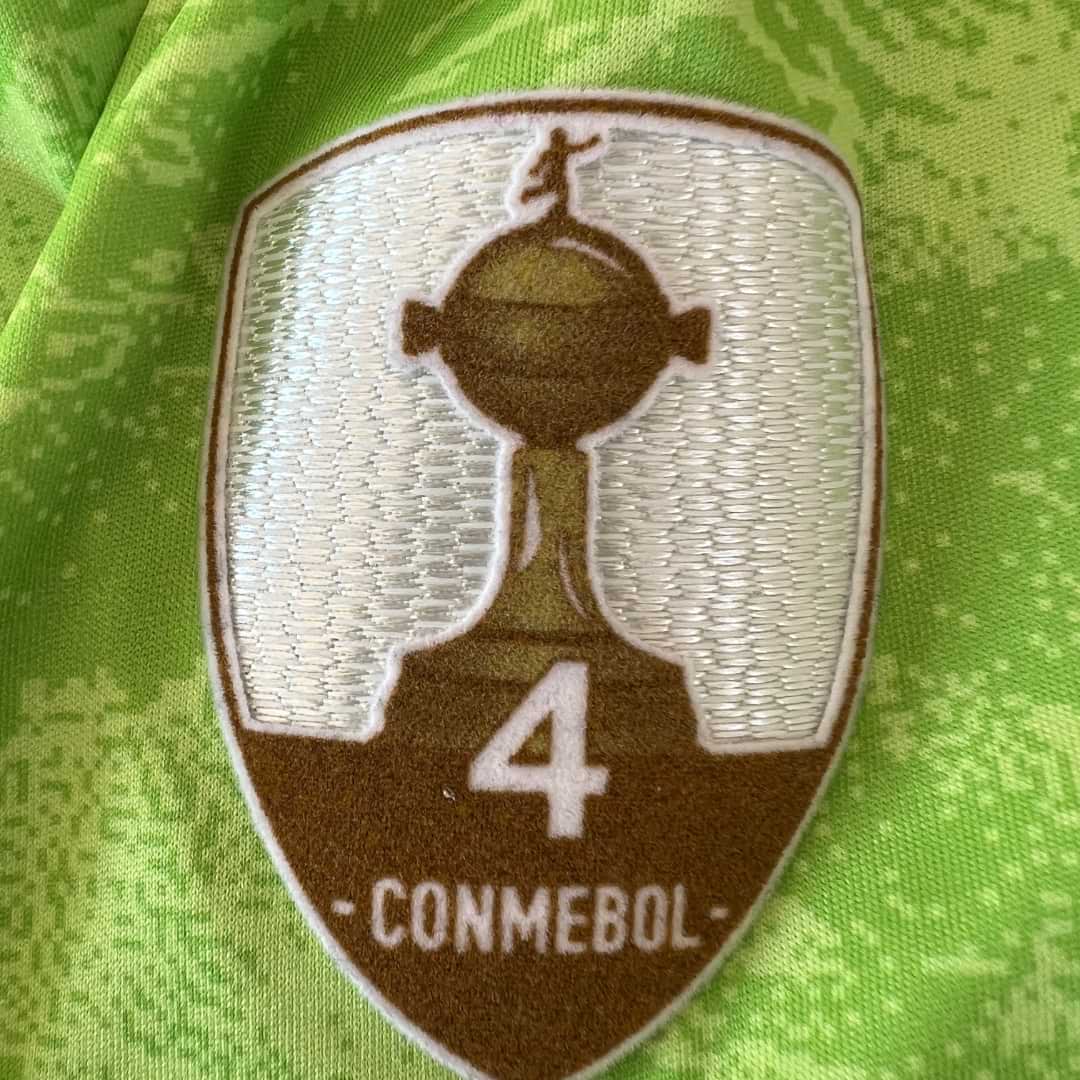 River Plate – Buzo Arquero Franco Armani – Copa Libertadores 2019 - Imagen 11