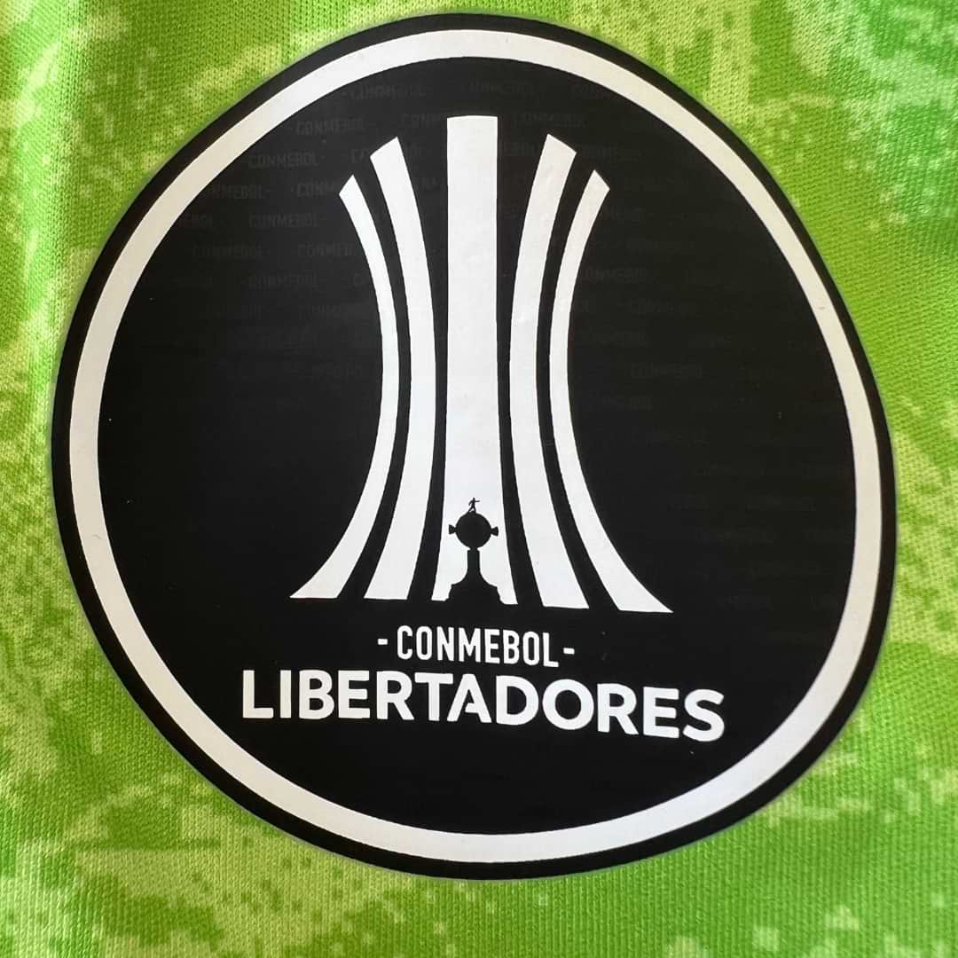 River Plate – Buzo Arquero Franco Armani – Copa Libertadores 2019 - Imagen 13