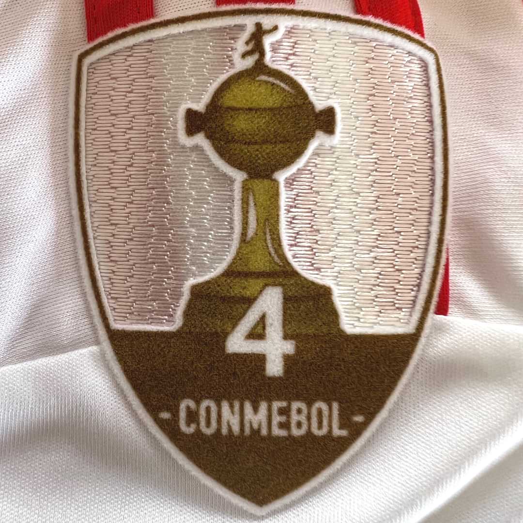 River Plate – Camiseta Julián Alvarez – Copa Libertadores 2019 - Imagen 16