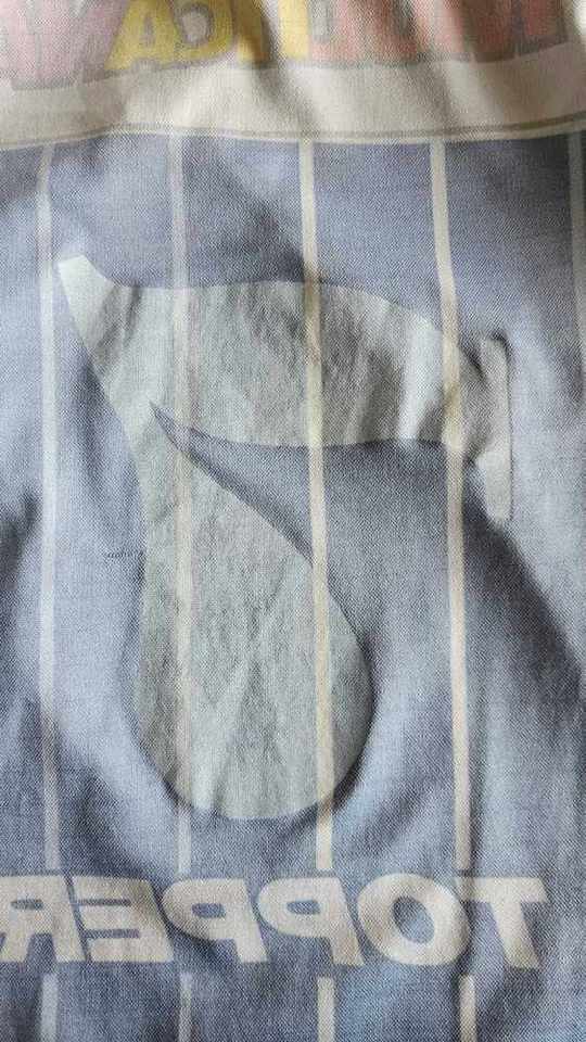 Marcelo “Chelo” Delgado match worn jersey – Racing Club – Torneo Apertura 1995 - Image 13