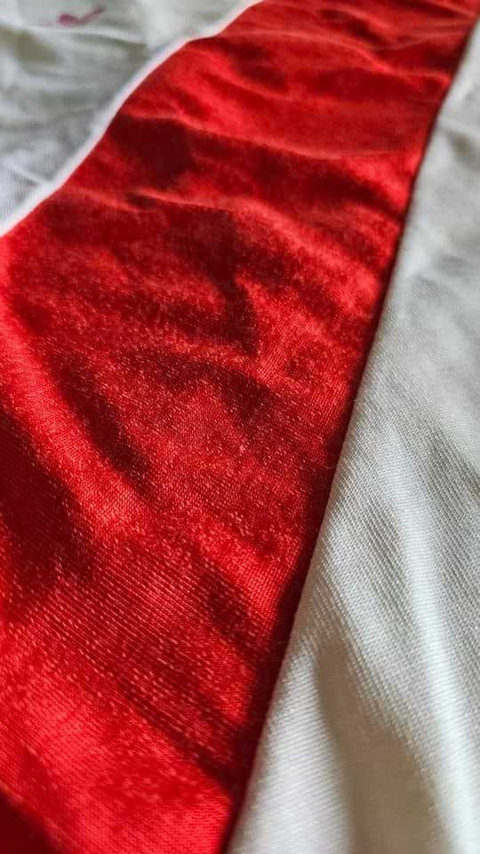 Norberto “Beto” Alonso match worn jersey – River Plate – Campeonato nacional 1984 - Image 10