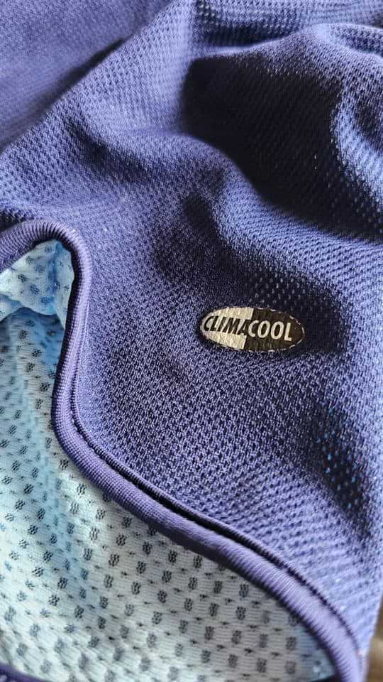 Juan Roman Riquelme match issue jersey – AFA – Amistoso FIFA 2005 - Image 10