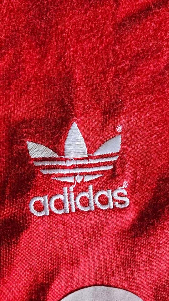 Julio Toresani match worn jersey – River Plate – Torneo clausura 1994 - Image 12