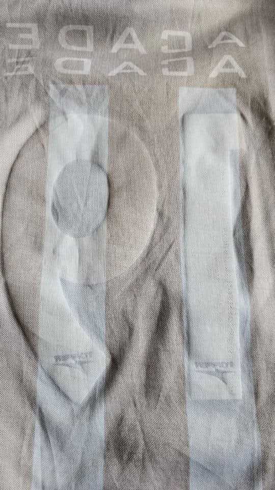 José “Pepe” Chatruc match worn jersey – Racing Club – Torneo Apertura 2001 - Image 16