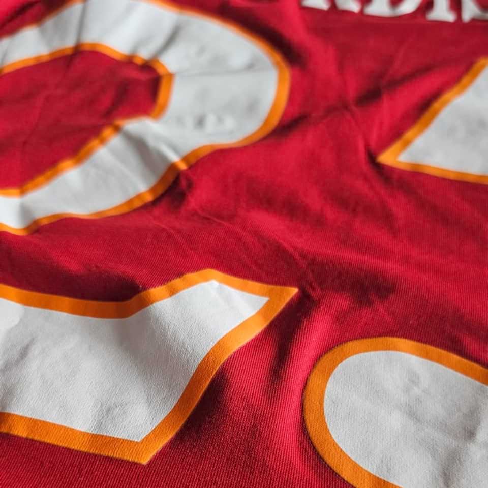 Guillermo Burdisso – AS Roma – Match worn – Serie A 2010 - Imagen 9