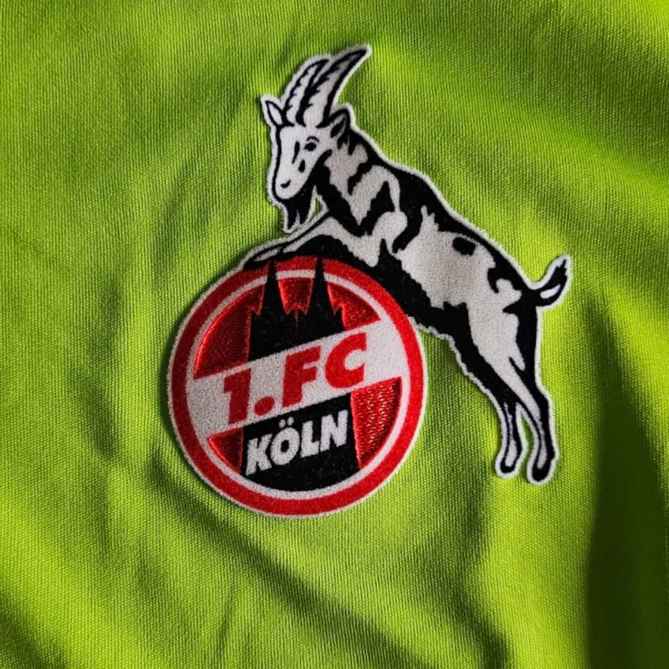 Faryd Mondragon – 1. FC KÖLN – Match worn – Bundesliga 2010 - Image 8