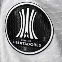 Claudio Echeverri – River Plate – Match worn – Copa Libertadores 2024 - Imagen 8