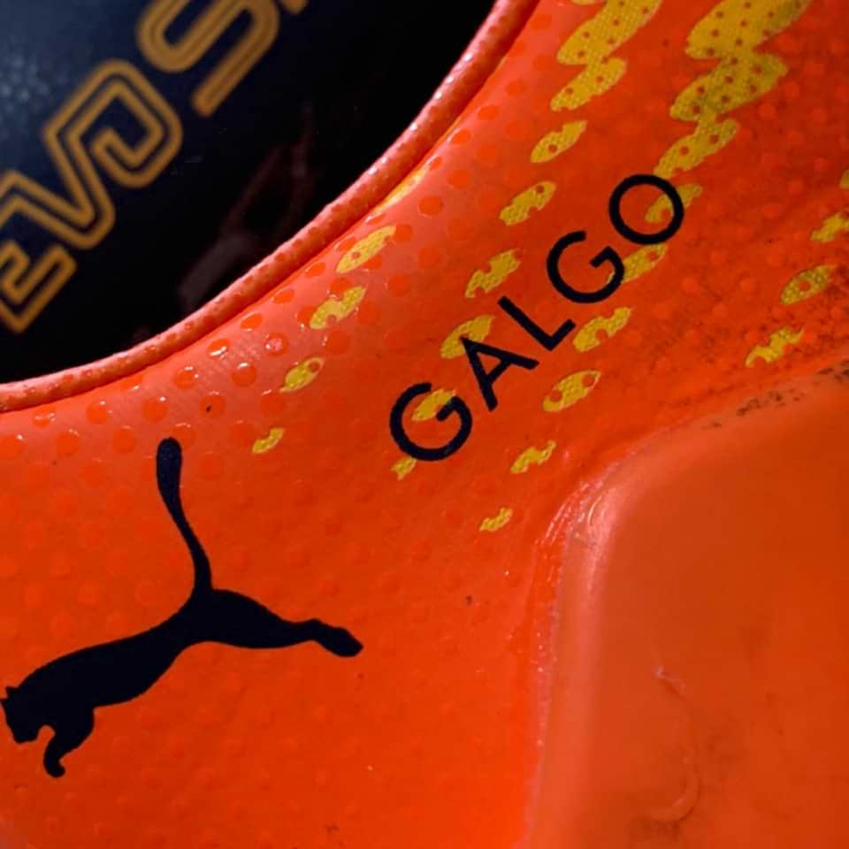 Ezequiel “Galgo” Schelotto – Sporting de Lisboa – Primeira Liga 2017 - Imagen 6