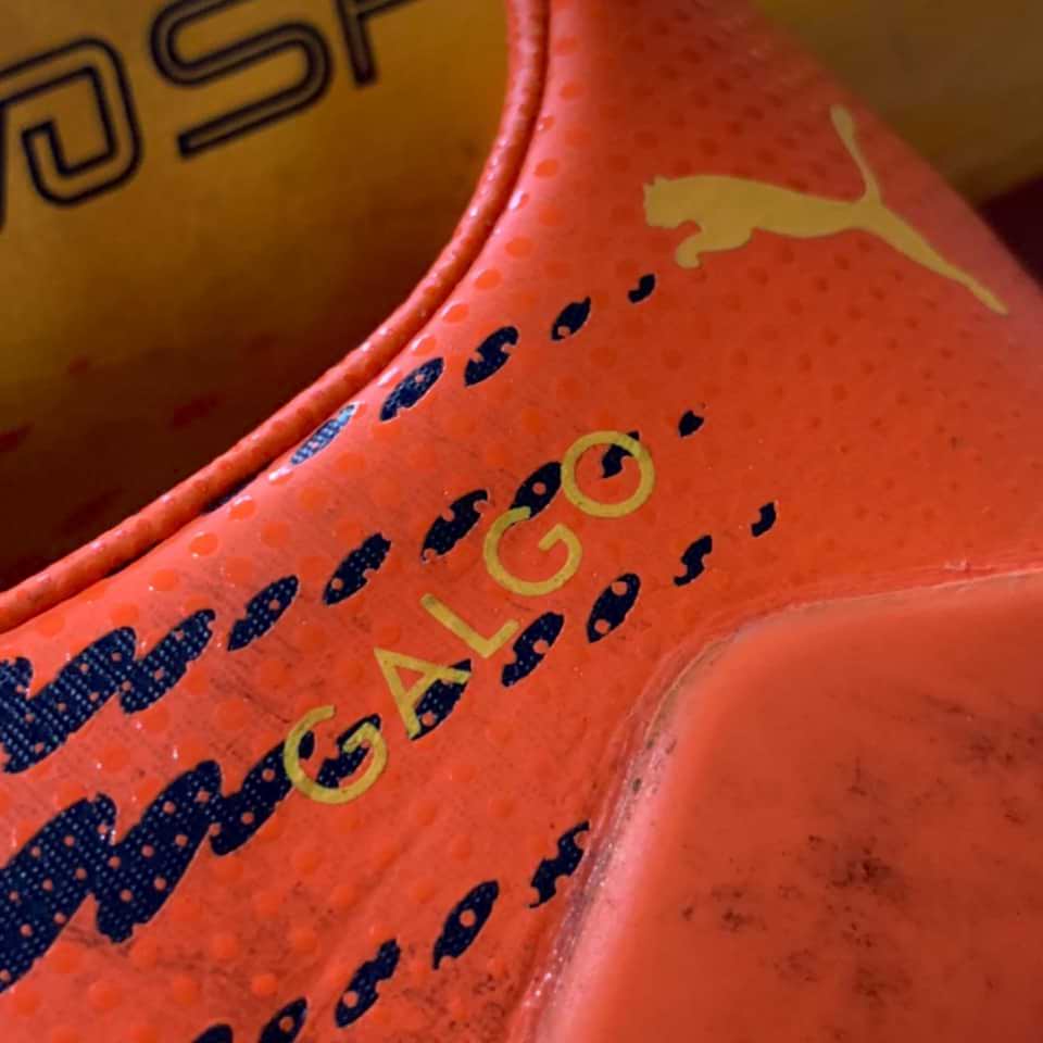 Ezequiel “Galgo” Schelotto – Sporting de Lisboa – Primeira Liga 2017 - Imagen 7