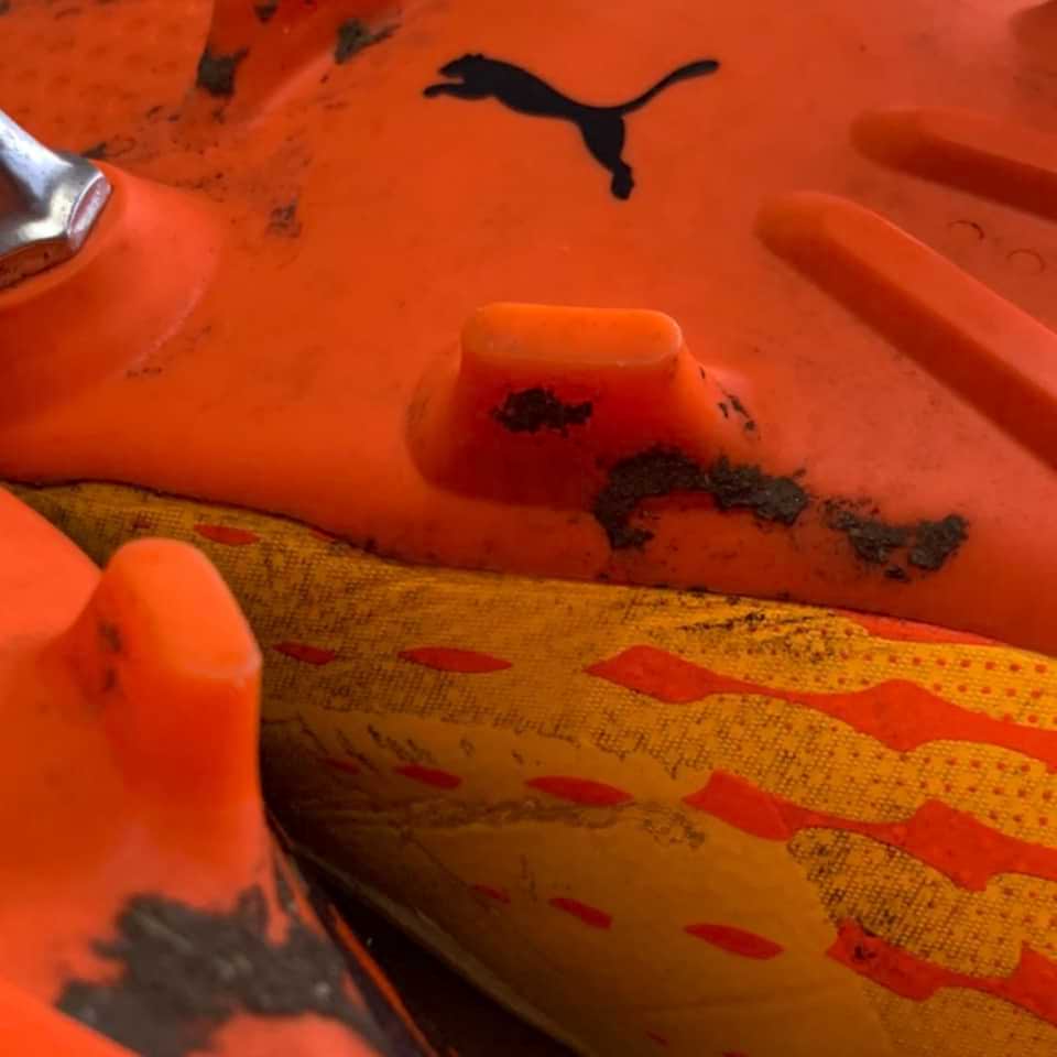 Ezequiel “Galgo” Schelotto – Sporting de Lisboa – Primeira Liga 2017 - Imagen 9