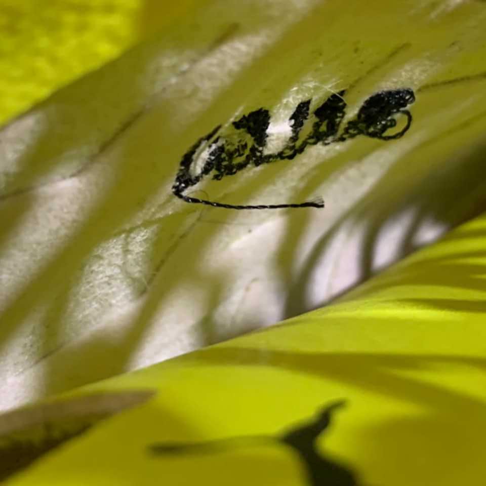 Ezequiel “Galgo” Schelotto – Sporting de Lisboa – Primeira Liga 2017 - Imagen 9