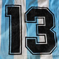 Fabián Garfagnoli – Argentina National Team – Match Worn in bench – 1992 - Image 7