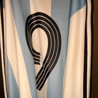 Hernan Crespo match worn PHOTOMATCH jersey – Argentina vs Francia 2007 - Imagen 7