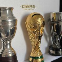 Box entregada por Conmebol a la delegación – Argentina tricampeón - Imagen 5