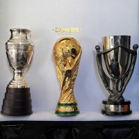 Box entregada por Conmebol a la delegación – Argentina tricampeón - Imagen 6
