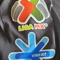 Agustin Marchesin – Match worn – Liga MX -Torneo Apertura 2019 - Imagen 13