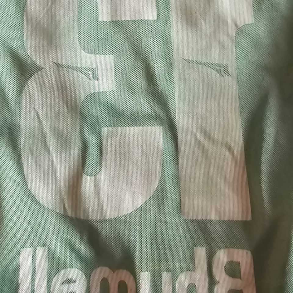 Palmeiras Copa Mercosur 2001 - Image 17