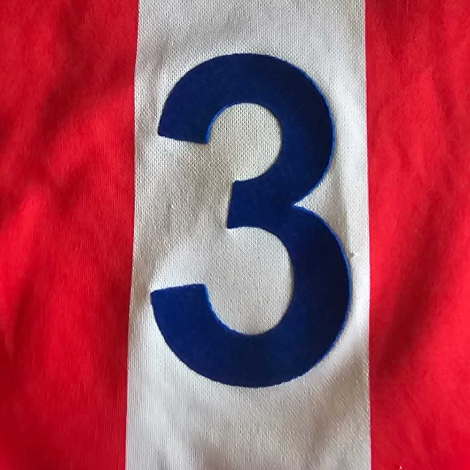 Pedro Sarabia – Paraguay National Team – World Cup 2002 Korea Japan – Match worn in bench – Photo proof - Imagen 14