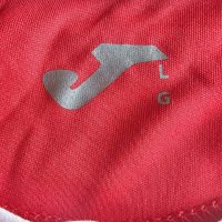 Pablo de Muner – Club Deportivo Unión San Felipe 2012 – Match Worn - Image 15