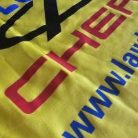 Leonardo Di Lorenzo – Universidad de Concepcion 2012 – Match Worn - Imagen 17