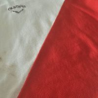 Roberto Gordon – River Plate – Campeonato Nacional 1980 – MATCH WORN JERSEY - Image 16