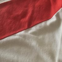 Roberto Gordon – River Plate – Campeonato Nacional 1980 – MATCH WORN JERSEY - Image 17