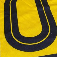 Carlos Bueno – Peñarol – Torneo de verano 2004 – MATCH WORN JERSEY - Imagen 19