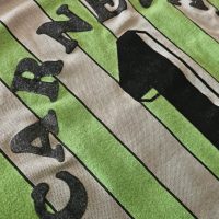 Daniel Carnevali – Selección Sudamericana – Despedida / Farewell match Hugo Bargas – MATCH WORN JERSEY - Imagen 14