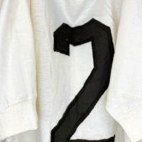 José Ramos Delgado – Santos Futebol Clube – Campeonato Paulista 1968 – MATCH WORN JERSEY - Imagen 7