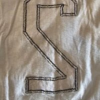 José Ramos Delgado – Santos Futebol Clube – Campeonato Paulista 1968 – MATCH WORN JERSEY - Imagen 18