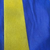 Carlos Tevez – Boca Juniors Copa Libertadores 2003 – Match Issued jersey – Boca Juniors - Imagen 20
