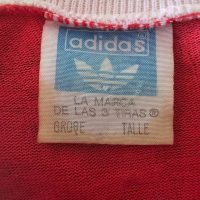 Diego Armando Maradona – Argentinos Juniors – Campeonato Nacional 1980 – MATCH WORN JERSEY - Imagen 13