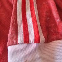 Diego Armando Maradona – Argentinos Juniors – Campeonato Nacional 1980 – MATCH WORN JERSEY - Imagen 19