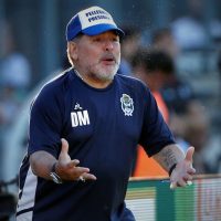 Diego Armando Maradona – Último Carnet DT – Last Manager Credential – Gimnasia y Esgrima LP - Imagen 4
