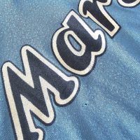 Diego Armando Maradona – SSC Napoli – Serie A 1989/90 – MATCH WORN JERSEY - Imagen 16
