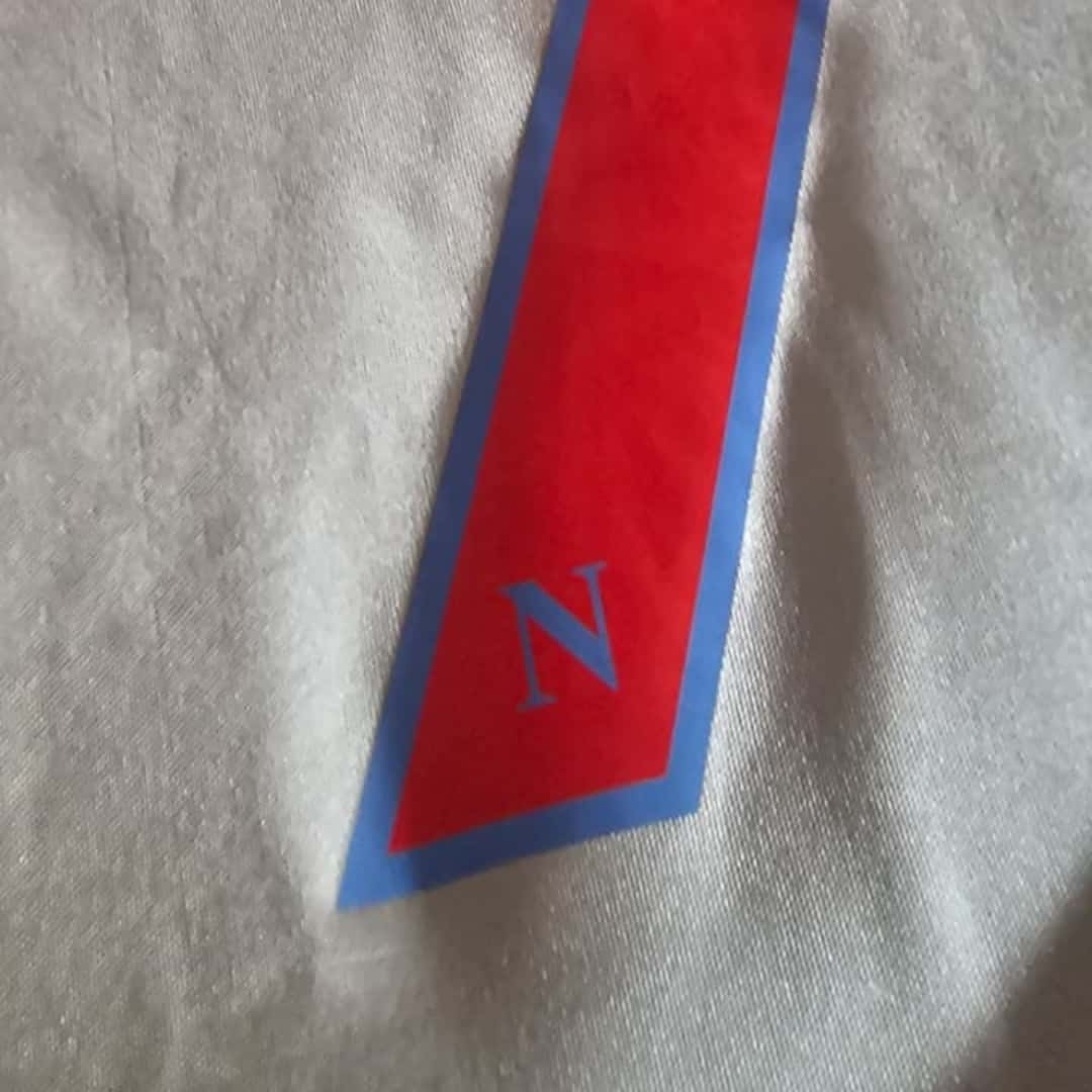 Ezequiel Lavezzi – SSC Napoli – Serie A 2009/10 – UNWASHED MATCH WORN JERSEY – P. ALVAREZ COLLECTION - Imagen 11