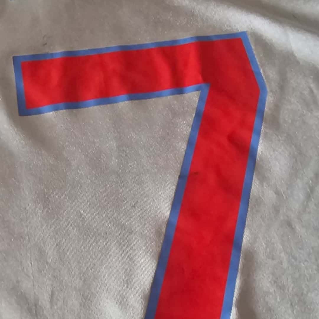 Ezequiel Lavezzi – SSC Napoli – Serie A 2009/10 – UNWASHED MATCH WORN JERSEY – P. ALVAREZ COLLECTION - Imagen 10