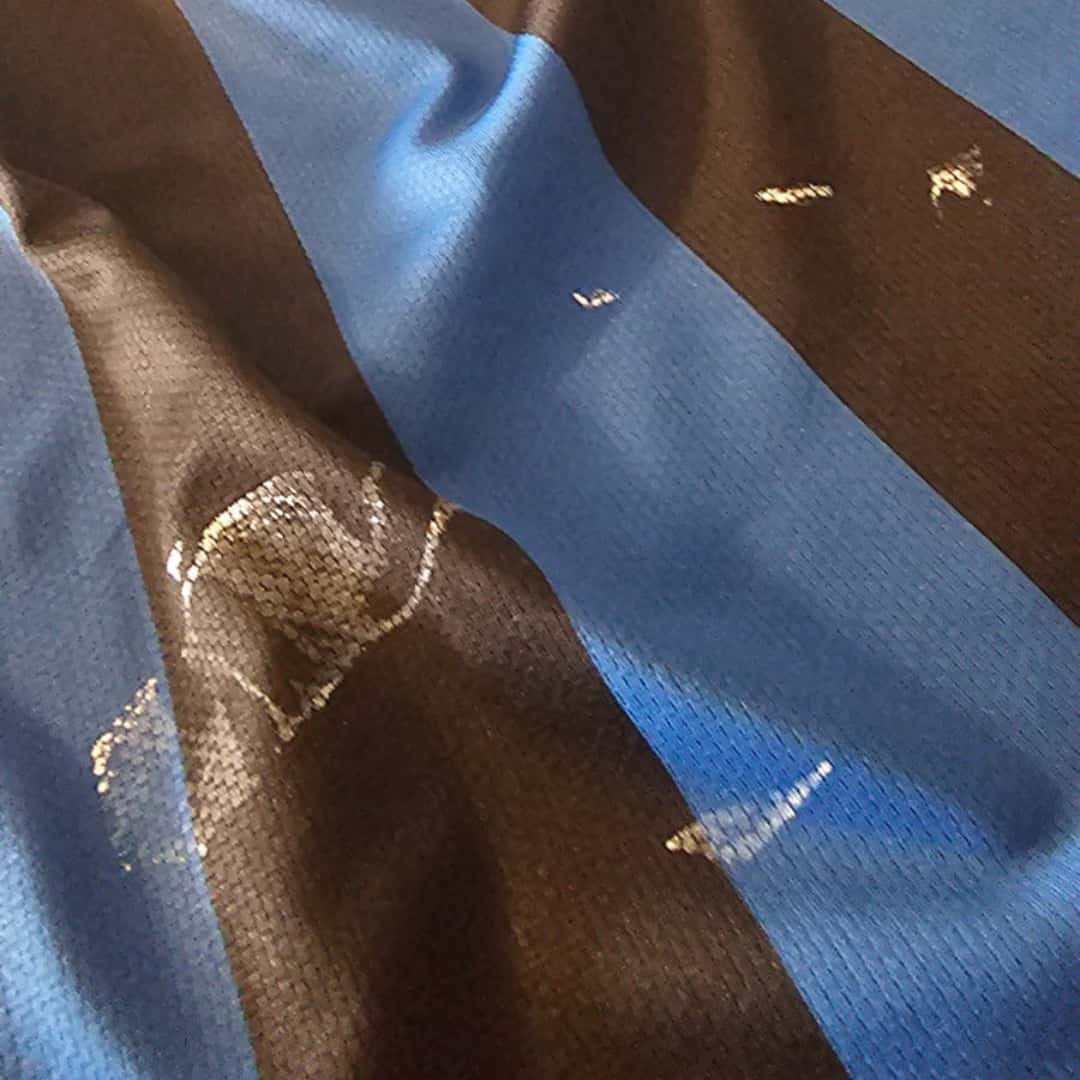 Javier Zanetti – Inter FC – Serie A 2009/2010 – MATCH WORN JERSEY – P. ALVAREZ COLLECTION - Imagen 10